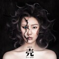 徐歌阳 - 壳