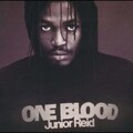 Junior Reid - One Blood