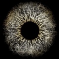Max Cooper - Coils of Living Synthesis