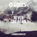 Stormerz、Dash Berlin - Never Cry Again