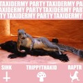 TrippyThaKid - Taxidermy Party