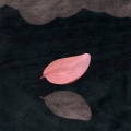 亦阳 - 逆行
