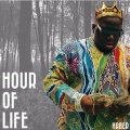 Haber - Hour Of Life (Original Mix)