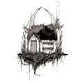 THE NOVEMBERS - para
