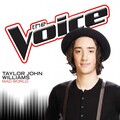 Taylor John Williams - Mad World (The Voice Performance)