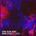 TERRA BLVCK、VÉRITÉ、R3HAB - Trouble (TERRA BLVCK Remix)