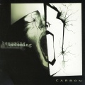 Carbon - angel