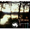DiESi - Looking Forward