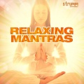 Om Voices - Om Namah Shivay - for Devotion & Focus