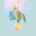 荔枝odihs - lemon