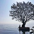秦晨阳 - 那年夏天你走的时候没有说再见