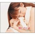 高桥美佳子 - 願いのとき
