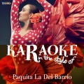 Ameritz Spanish Karaoke - Amor Maduro (Karaoke Version)