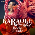 Ameritz Spanish Karaoke - Se Nos Rompió El Amor (Karaoke Version)