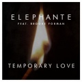 Temporary Love