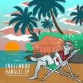 Engelwood - passing.by
