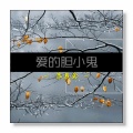 苏辰念 - 爱的胆小鬼