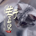 小特 - 关于直男