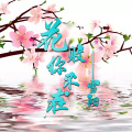 雪阳 - 远方的他