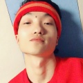 杨铃铛 - 黄雀