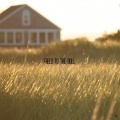 Felly - Field to the Bull