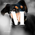 SOCIAL ANIMAL - Alive