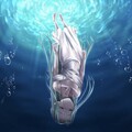 Xwdit - Still Breathing
