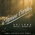 James Carter - Where I Wanna Be