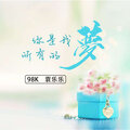 98k、嗨小点 - 伤过的心就像玻璃碎片