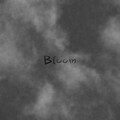 西瓜Kune - Bloom