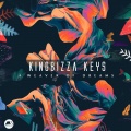 King Bizza Keys - A Weaver of Dreams