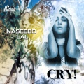 Naseebo Lal、DJ Chino - Ainwen Rusya Na Kar