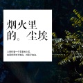 杜明锡 - 烟火里的尘埃