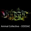 Animal Collective - Kindle Song