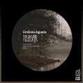 Emiliano Aguada - Teleisar
