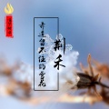 荆禾 - 赤道留不住雪花