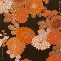 Natural High - 桜