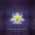 Sleeping At Last - Thanks For The Memories