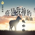 赵哈哈 - 你是我撞的南墙