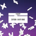 Skyron - In My Mind (Original Mix)