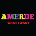 Amerie - What I Want