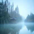 辞洛 - 殊流