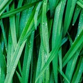 20 Soothing Rain Sounds: Best of April 2019