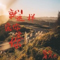 陈丙、唐大大 - 再无火影 (DJ版)