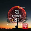 浪子楚阳 - 南京梧桐树