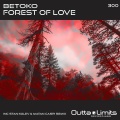 Forest of Love (Original mix)