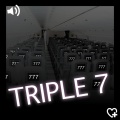 Michel Van Tune - Triple 7