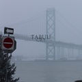 Tabuu - Cry