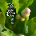 酝逸 - 鸢尾花的落寞