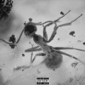 INSECTS (Explicit)